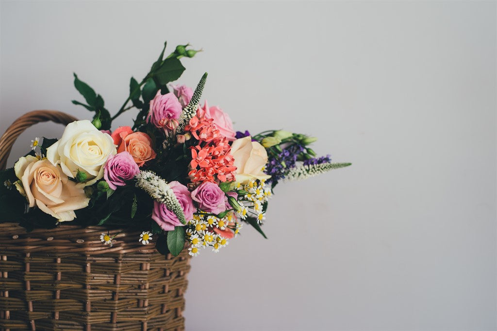 annie-spratt-113596-unsplash-How-To-Dementia-A-Guide-For-Visitors_RESIZED